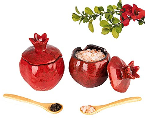 YU&CH Rustic Red Pomegranate Shaped Salt Cellar 2 Pack 9 Fluid Ounces Ceramic Porcelain Salt Pig with Lid Spoon