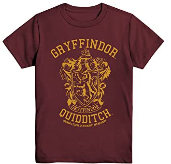 Harry Potter Gryffondor Serpentard Serdaigle Hufflepuff Quidditch Tee-shirt pour garçons, bordeaux, Taille XL