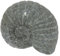 STONE art & more Stein-Muschel Nautilus, 16 cm, Steinmetzarbeit, Garten-Deko, frostfest