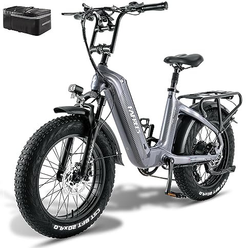Fafrees F20 Master [ OFFIZIELL ] Herren E Bike Damen Mountainbike 20 Zoll 48V/22,5AH Akku, 60N.m Ebike Erwachsene Schiebehilfe, Elektrofahrrad Hydraulische Scheibenbremsen 150kg (grau)