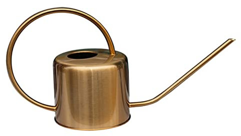 Hemobllo Regadera De Acero Inoxidable Boquilla Herramienta De Jardinería para Plantas Suculentas para Regado Interiores o Exteriores Color Dorado