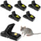 Binnan Mausefalle Schlagfalle,6 Stück Mausefalle Schlagfalle Testsieger,11 X 5 cm Mausefalle mit Köder,Wiederverwendbar Mouse Trap Profi,Mouse Trap Kleine Verwendet für Haushalte,Küchen und Gärten