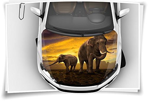 Medianlux Elefant Elfenbein Motorhaube Auto-Aufkleber Steinschlag-Schutz-Folie Airbrush Tuning Car-Wrapping Luftkanalfolie Digitaldruck