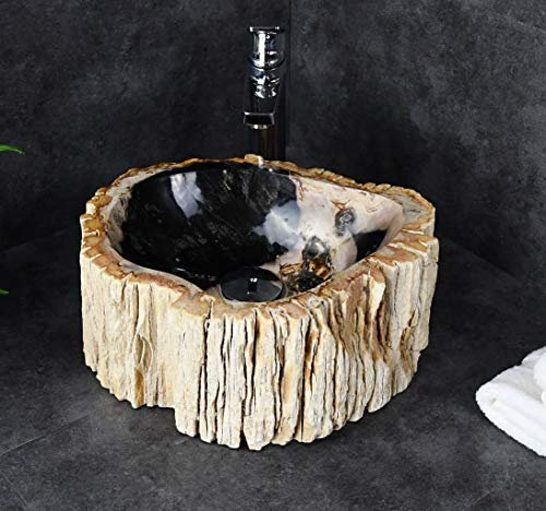 Cuenco de fregadero de madera petrificada de madera fósil