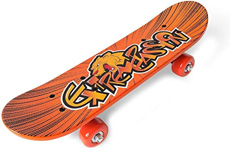 Plastic Skateboard 17 INCH Mirror Graphic