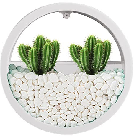 Odavom Wandbehang Pflanzer, Wandvase Sukkulenten-Pflanzgefäß, Kreis runder Blumentopf für den Innenbereich, vertikaler Behälter, Wandbehang, Zuhause, Wandmontage, Sukkulenten-Topfhalter, Dekoration