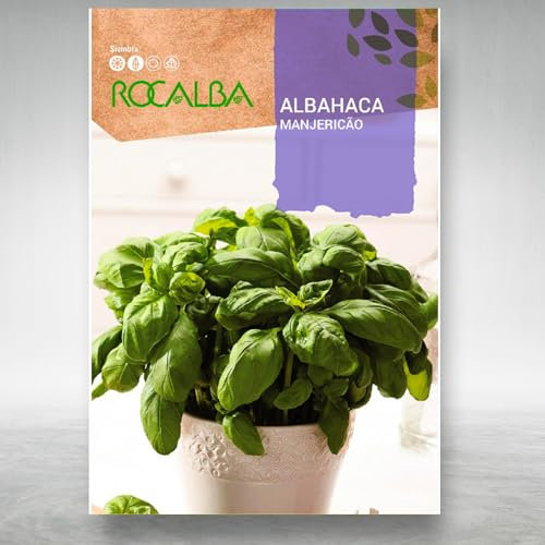 Semillas Albahaca Profesionales de color y sabor muy intenso | Sobre 4 Gramos | Planta anual con gran aroma en casi cualquier clima - No necesita suelos exigentes | Nexum Market