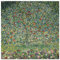 JUNIWORDS Poster, Gustav Klimt, Apfelbaum I, 100 x 100 cm