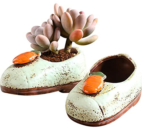 WAYUTO Set von 2 Keramik-Sukkulenten-Blumentöpfen, niedliche kleine Schuhe, Pflanztöpfe mit Drainageloch, Mini-Blumentopf, Kaktus, Pflanzgefäß, Zuhause, Garten, Büro, Desktop-Dekor, weiß