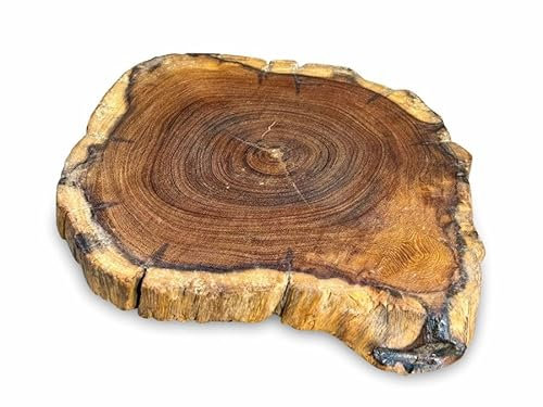 Set 4 Wooden Placemat - Real Tree Root Slice Wooden Teak Table Gift - 20-25cm