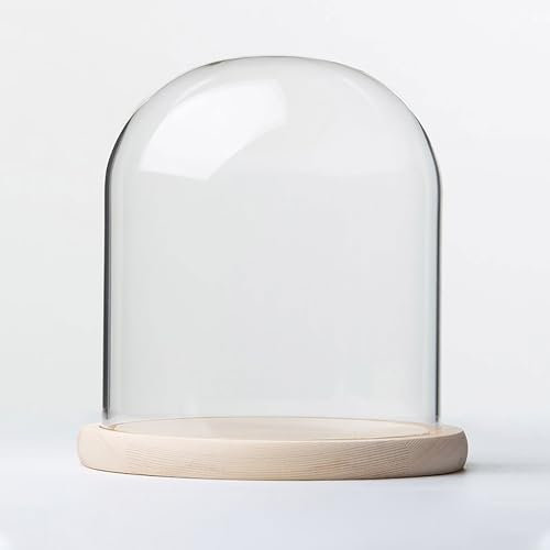 Cloche dôme en verre de 20 cm avec base en bois massif – Parfait pour exposer des plantes, des ornements, des figurines – Vitrine décorative pour terrarium – 20 x 20 cm