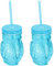 HAC24 2er Set Trinkgläser in Tukan Optik Cocktail Gläser mit Deckel und Trinkhalm Bar Cocktailgläser Longdrinkgläser Partygläser