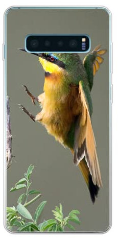 MuchoWow Funda para Samsung Galaxy S10 Plus - Un pequeño abejaruco Enano aterrizando en un arbusto - Funda de Silicona/Funda Blanda para teléfono móvil