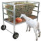 JonesHouseDeco Galvanized Steel Livestock Feeder W/Wheels, 2 in 1 Hay & Grain/Salt Feeder, Heavy-Duty große Kapazität Schafe Feeding Cart, leicht zu reinigen für Ziegen, Schafe, Pferde, Ponys B808A01