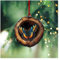 Wisafory Weihnachtsbaumschmuck Acryl Tier Dekor Weihnachtsbaum Anhänger mit Tiermuster 2D Acryl Weihnachtsdeko Eule Waschbär Ornament für Urlaub, Party, Weihnachtsdeko Schmetterling