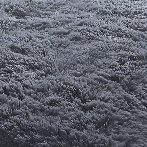 AIMECO Hochflor Teppich Wohnzimmer Carpet Silbergrau 60X180cm Anti-Rutsch Extra Große Teppiche Schlafzimmer flauschig Teppiche Matte Teppichen Mädchen Schlafzimmer und Kinderzimmer