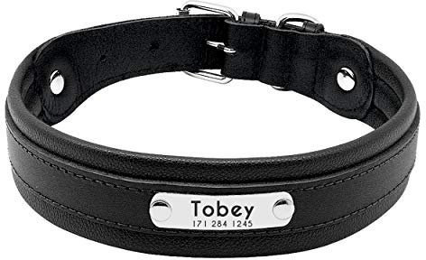 PET ARTIST Studded Black Leather Dog Collar with Name Plate - Personalized Leather Dog Collars for Large Dogs - Free Engraved with ID Tags, M(Neck 12-16.5)