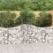 GuyAna Gabionen mit Hochbogen 4 STK. 200x50x80/100 cm Verzinktes Eisen Zaun Gabionen WasserzapfsäUle Garten Pflanzsteine Beton Garten Stapelbar Gabionenzaun Gabionen