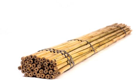 Bambusstangen - 210cm - 16/18mm - 25 Stück