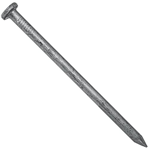4 Exterior Hot Dipped Galvanized Common Framing Nail (20d) 1 Pound Box ~16 Nails