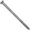 4 Exterior Hot Dipped Galvanized Common Framing Nail (20d) 1 Pound Box ~16 Nails