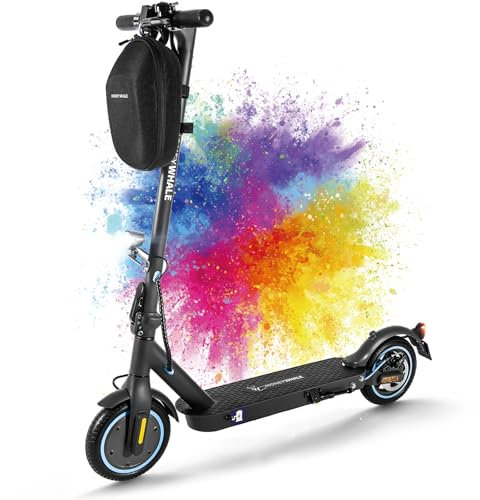 E Scooter mit Straßenzulassung,Elektroscooter Elektroroller Erwachsene,E Roller Offroad,(30-35 Km Reichweite,36V7.5Ah,120 KG Tragkraft,10 Zoll Reifen,Duales Bremssystem)-E9
