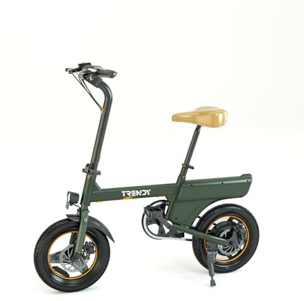 RAOO MIN E Bike, e Bike Herren und Damen, Fahrrad tragbar City-Pendler, Elektrofahrrad Max. 25 km/h, 250W Motor, bis 60km Reichweite, Scheibenbremsen, LED-Licht und LCD-Display. (grün)