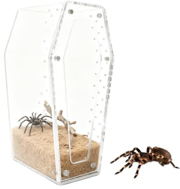 Protoence Springspinnen Terrarium,Klar Acryl Spinnen Habitat - Kleines Reptilien Zuchtbehälter | Für Halter Naturliebhaber Studenten Sammler Zuhause Klassenzimmer Schulprojekt Fotostudio Büro