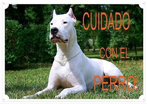 CRAZY FAMILY SHOP Placa Cuidado con EL Perro” para ser aplicada en la Puerta Dogo Argentino Tamaño 30 x 21.5 cm