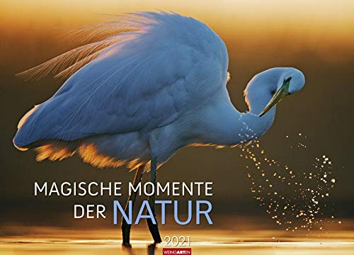 Magische Momente der Natur - Kalender 2021- Weingarten-Verlag - Wandkalender mit atemberaubenden Fotos - 67,8 cm x 48,8 cm