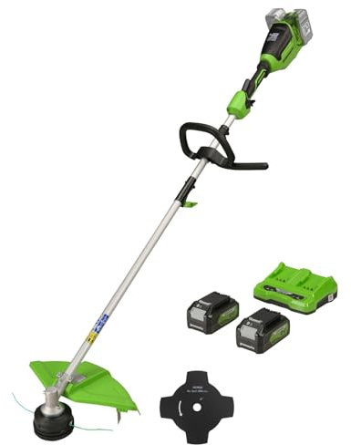 Ensemble Coupe-Bordures sans Fil et Débroussailleuse Greenworks 2 × 24V 2-en-1, avec Batterie 2 4Ah et Chargeur