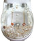 OMVOVSO WC-Sitz, Langsam Schließender Harz Toilettendeckel, U Form, Transparent, Kunst Effekte, Heavy Duty, Dolphin, Seestern, Echt Muscheln Und Sand, Automatisch, Eklektisch