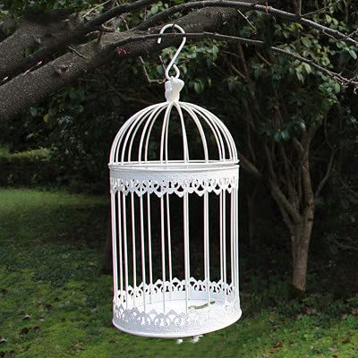 Crysdaralovebi Moderner Vogelkäfig aus Schmiedemetall, weiß, klein, mittelgroß, groß, Vogelkäfig-Dekoration, hängender Blumentopf, Sukkulenten-Pflanzen (L)