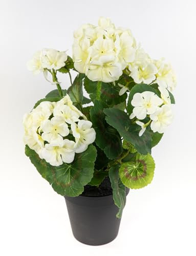 Seidenblumen Roß Künstliche Geranie im Topf 34cm LM Kunstblumen künstliche Pelargonium Blumen Pflanzen (Weiß - 34cm)