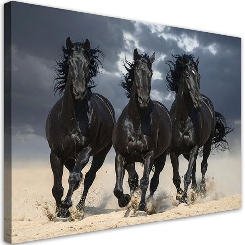 Feeby Bild auf Leinwand - Wandbilder Wohnzimmer Aesthetic - Schwarze Pferde galoppieren Natur - 30x20 1tlg - Schlafzimmer Wandekoration - Bilder Zimmer - Living Room - Deko Wandbilder - Moderne Bild