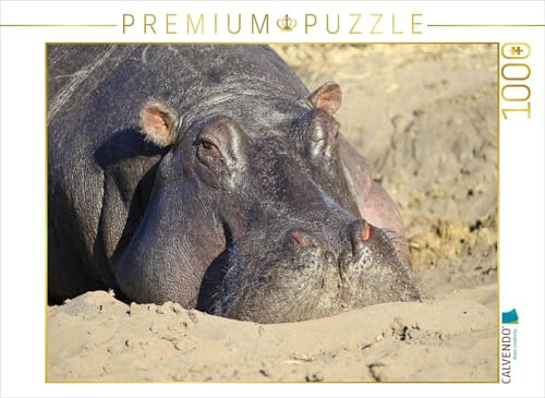 CALVENDO Puzzle Flusspferde – Sonnenbad | 1000 Teile Lege-Größe 64 x 48 cm Foto-Puzzle für glückliche Stunden