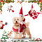 Hunde Weihnachtskostüm, Hundekostüm Weihnachten, Hundemantel für Kleine Mittel Große Hundebekleidung Weihnachtsmütze, Weihnachtsmann Rentier Kostüm für hunde, Weihnachtspullover Haustier Hoodie Mantel