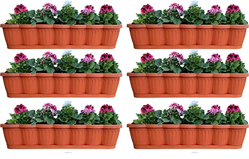 Hossi's Wholesale 6 Balkonkästen 80 cm Terracotta mit Wasserspeicher Set | Hossi's Wholesale, Balkonkästen, Pflanzkästen, Blumenkübel mit Untersetzer