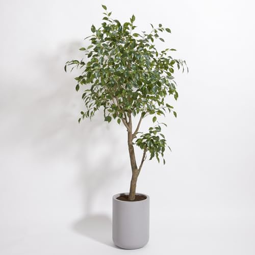 CG Hunter, Faux Ficus Tree, 6.5 ft, Taupe, Home Decor