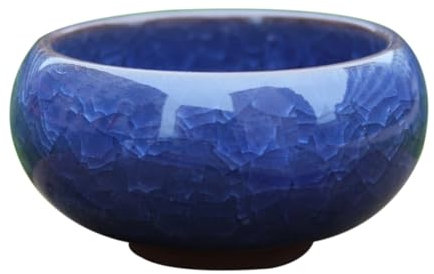 Wzxhew # Petit pot en céramique avec trou - Mini pot délicat pour plantes grasses - Mini pot de fleurs en porcelaine - Pot de fleurs - Cactus - Décoration d'intérieur et de décoration (bleu, taille