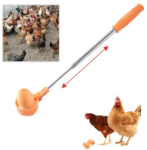 Attrape-œufs pour œufs de poule, outil de poignée extensible en acier inoxydable | Poignée de ramasse-œufs longue portée pour la collecte d'œufs frais en poulailler, nid d'oiseaux et agricole