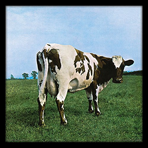 Pink Floyd 'Atom Heart Mother' Memorabilia, 31.5 x 31.5 cm