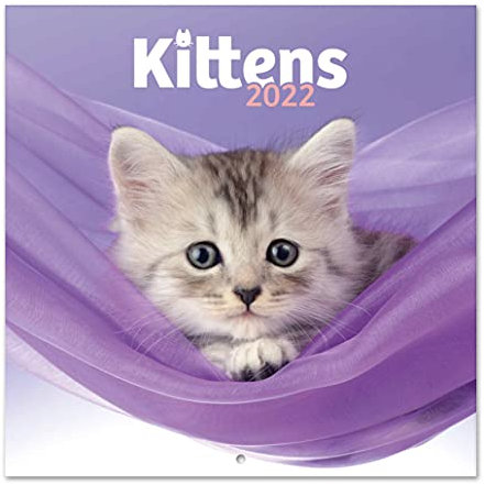 Grupo Erik Simon K. & Greg C. Katze Kalender 2022 Wandkalender 2022 Groß für 16 Monate, Lila, CP22037