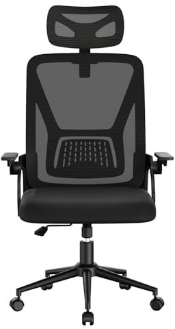 naspaluro Ergonomic Office Chair for Desk with Flip-up Armrests/Lumbar Support/Adjustable Headrest/Metal Claw, Comfy Swivel Heavy Duty Computer Study Chairs, Mesh Black Work PC Chair For Home Office