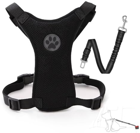 Harnais Chien Voiture, Gilet Réglable en Mesh avec Ceinture de sécurité Élastique (Noir, S)