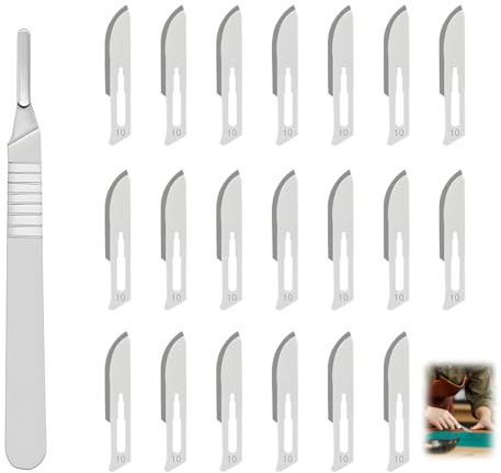 Kit di Bisturi con 16 Lame di Ricambio, Acciaio Inossidabile, per Intaglio, Modellismo e Artigianato