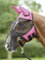 BUSSE everline Fliegenmaske FLY COVER FRANSEN, pink/schwarz, Vollblut