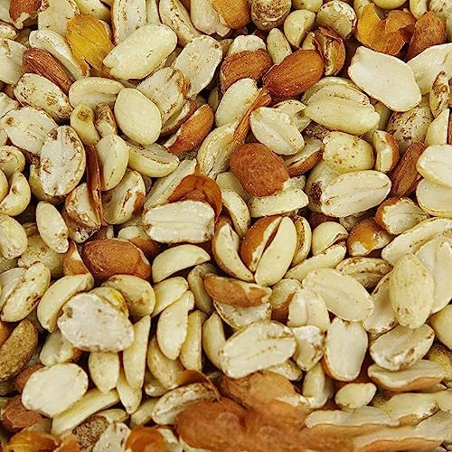 BusyBeaks Split Peanuts | Premium Quality Fresh Feed | Garden Wild Bird Nut Food | Aflatoxin Free Mix | Protein Rich, High in Energy Mixture | Holds Nutritious Vitamins and Essential Oils (10kg)