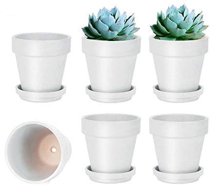 vensovo Lot de 6 Petits Pots de Fleurs en Terre Cuite avec Soucoupe pour Plantes d'intérieur et d'extérieur Blanc 10,16 cm