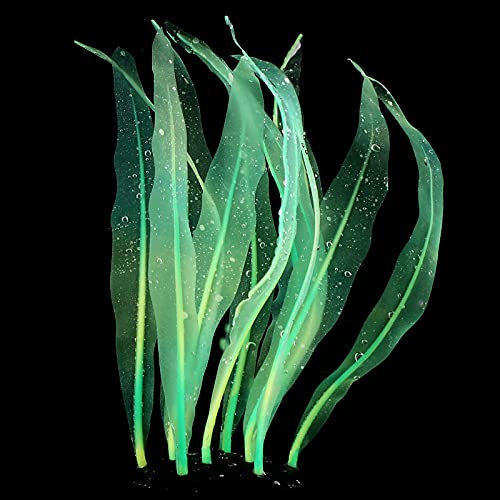 REIRQIE Aquarium-Dekoration, Grünpflanzen, künstliches Wassergras, Aquarium-Dekoration, Silikon, leuchtender Seetang, Aquarium-Zubehör, Grün, 25 cm